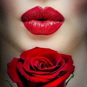 Meet your Posher, Sofia